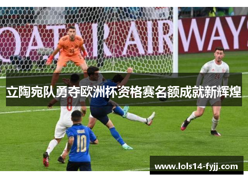 立陶宛队勇夺欧洲杯资格赛名额成就新辉煌