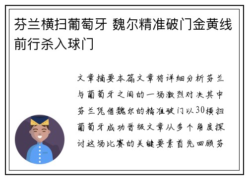 芬兰横扫葡萄牙 魏尔精准破门金黄线前行杀入球门