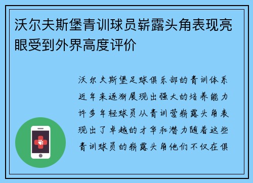 沃尔夫斯堡青训球员崭露头角表现亮眼受到外界高度评价