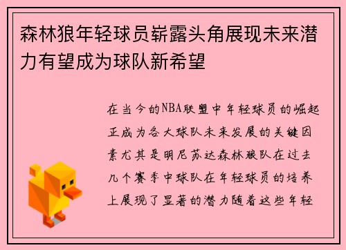 森林狼年轻球员崭露头角展现未来潜力有望成为球队新希望